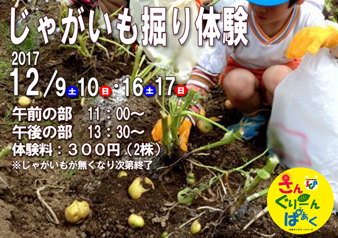 じゃがいも掘り体験