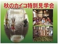 秋のカイコ特別見学会