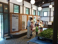 蚕展