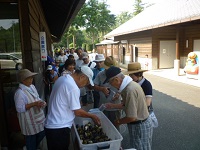 すず虫の無料配布